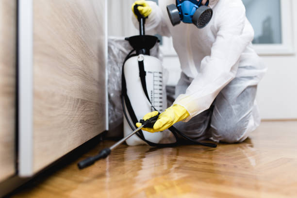 Best Termite Control Services  in St George, SC