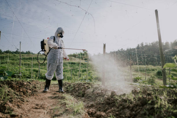 Best Pest Removal Services  in St George, SC