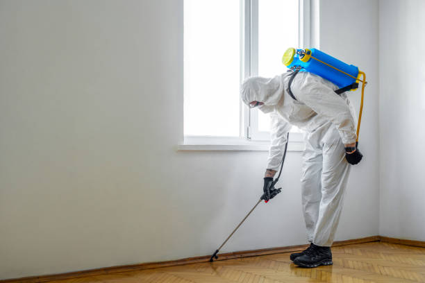 Wildlife Control Services in St George, SC