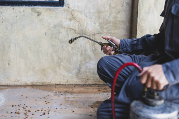 Best Pest Control for Businesses  in St George, SC